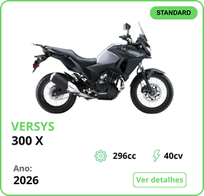 Versys-X 300 Cinza