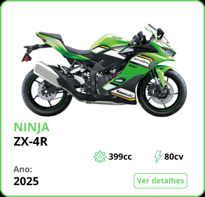 Ninja ZX-4R