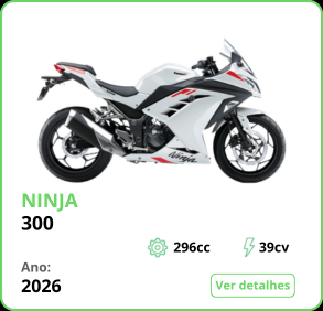 Ninja 300 Branca