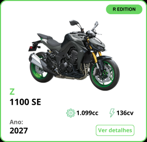 Z 1100 SE