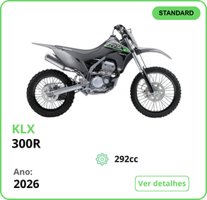 KLX 300R Cinza