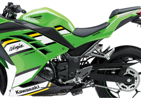 Inferior Páginas.png