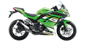 Ninja 300 2026