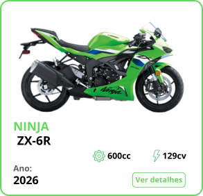 Ninja ZX-6R Verde